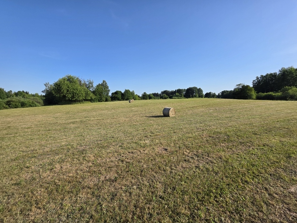 Atrakcyjna działka rolna 1,50 ha –  Butryny — zdjęcie 4