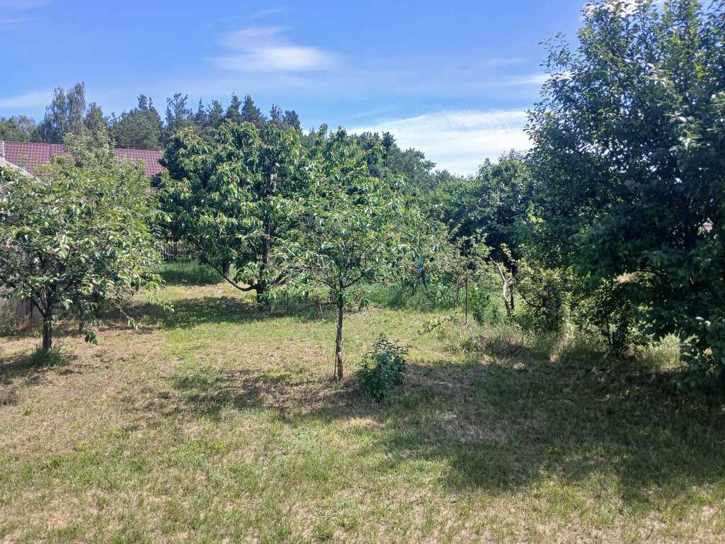 Dom z dużą działką 5600 m² – Goreń Duży — zdjęcie 5
