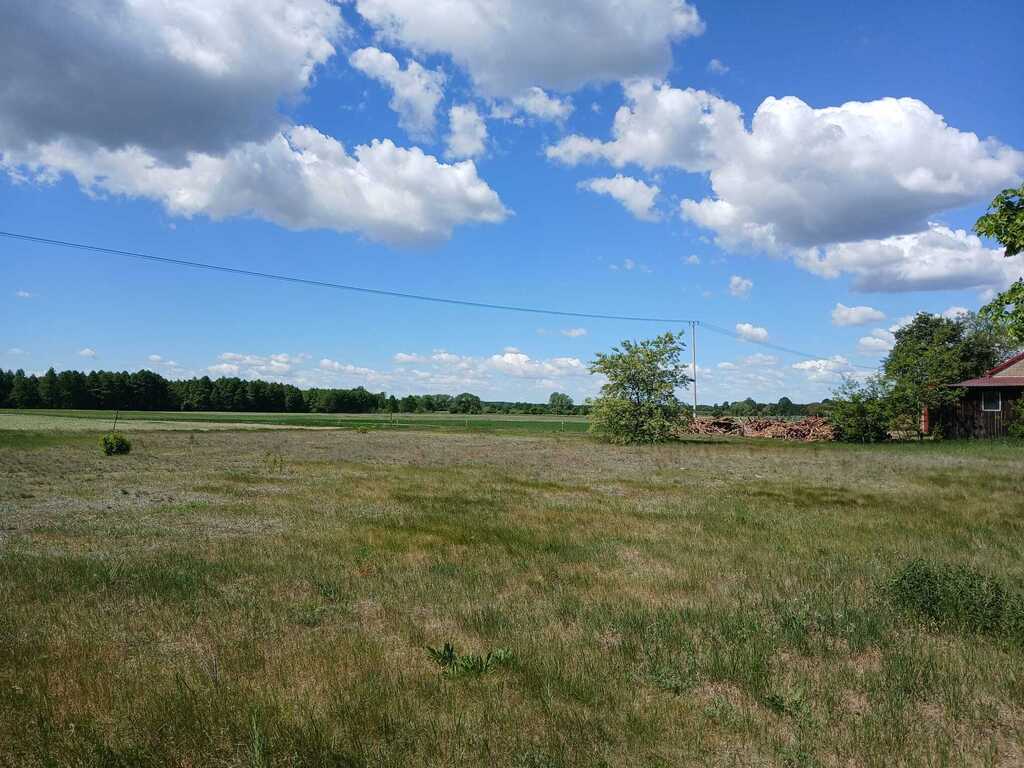 Dom z dużą działką 5600 m² – Goreń Duży — zdjęcie 12