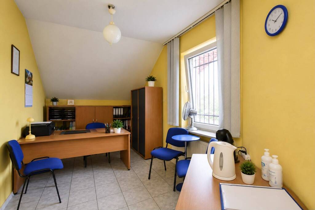 Kamienica usługowo-handlowa w centrum Chełma — zdjęcie 4