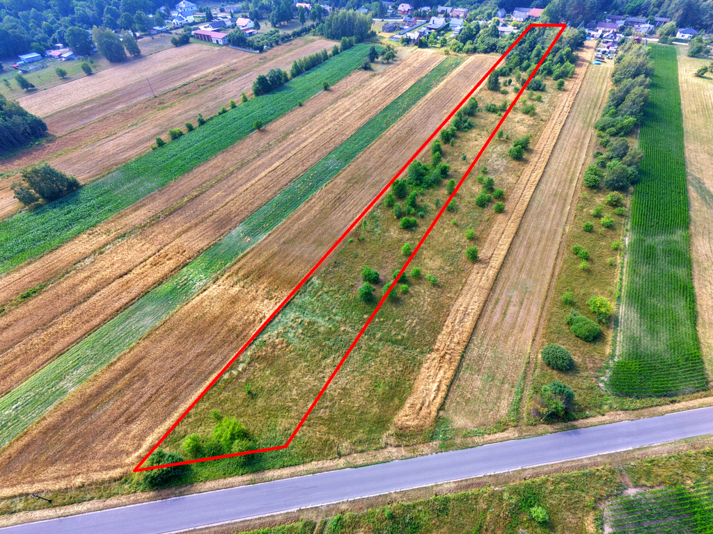 3 działki na sprzedaż–Kolonia Łobudzice, gm. Zelów — zdjęcie 6