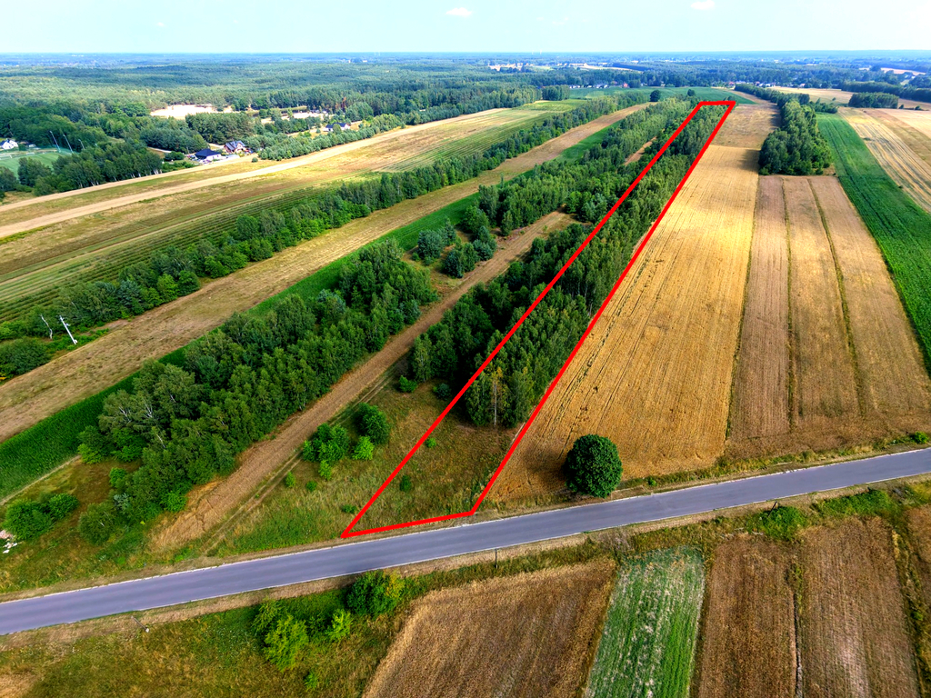 3 działki na sprzedaż–Kolonia Łobudzice, gm. Zelów — zdjęcie 8