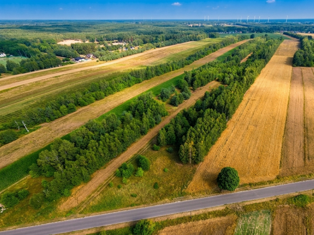 3 działki na sprzedaż–Kolonia Łobudzice, gm. Zelów — zdjęcie 9