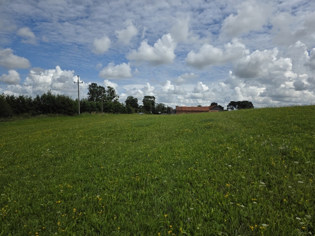 Działki rekreacyjne z linią brzegową nad Jeziorem — zdjęcie 6