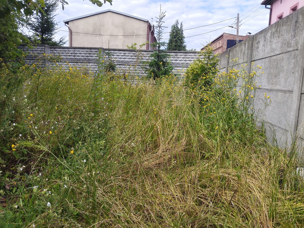 Kamienica ,200 m2 na działce 400 m2 w Piekarach Śl — zdjęcie 7