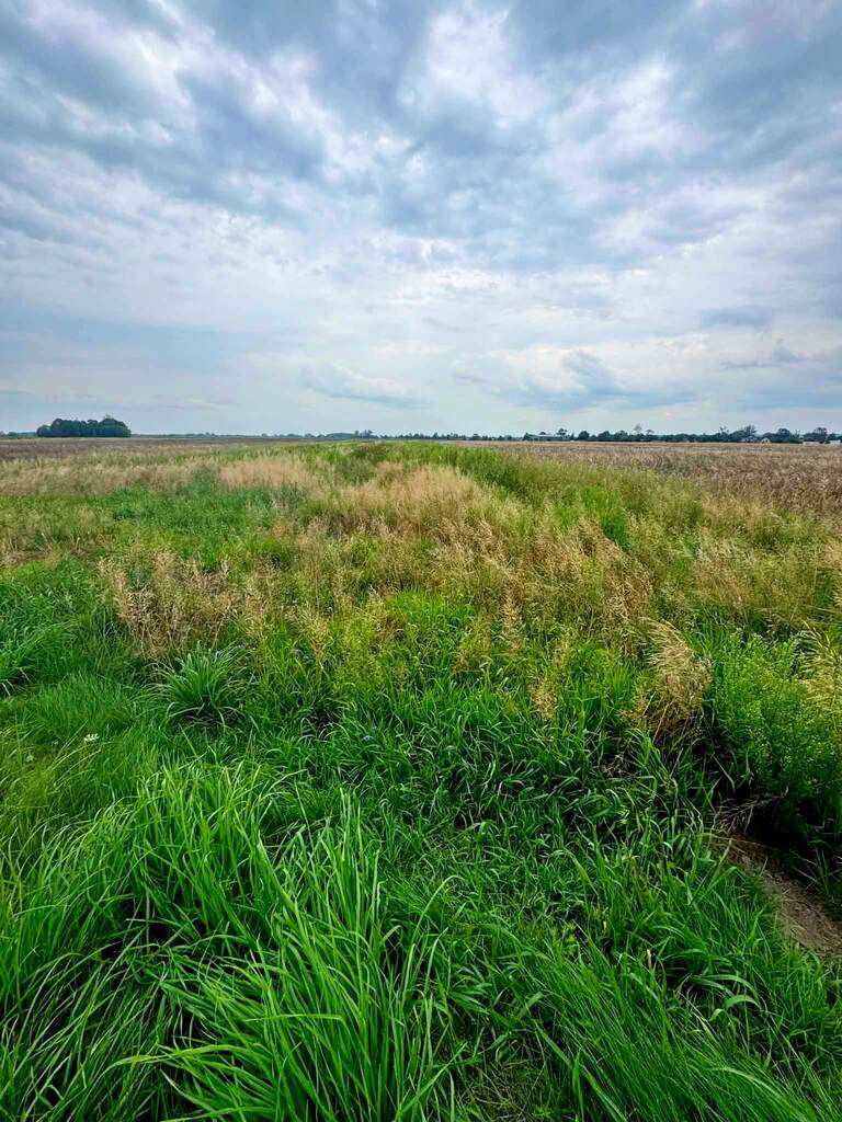 Garwolin 9 166 m² Plan MNU/możliwość podziału — zdjęcie 3
