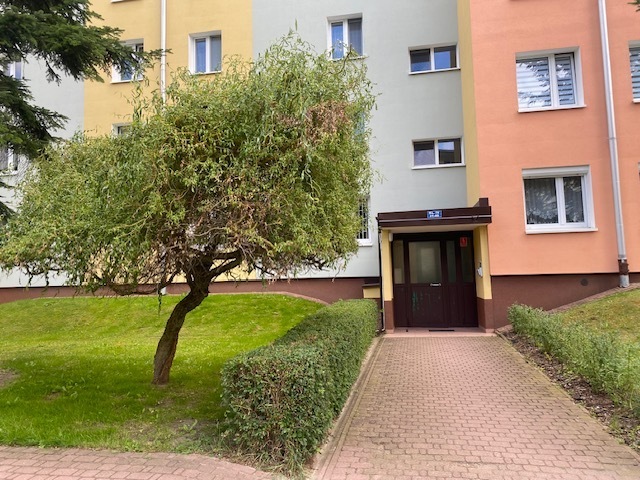 Wejście