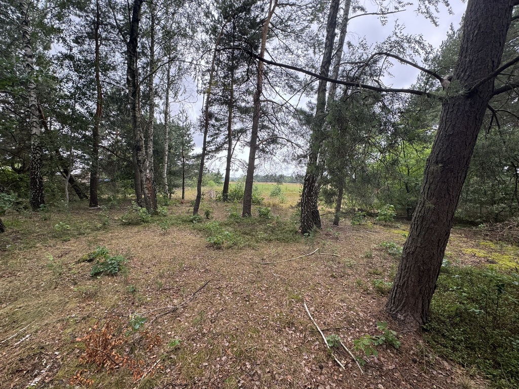 Dwie działki rekreacyjne, Podgać gmina Zabrodzie — zdjęcie 2