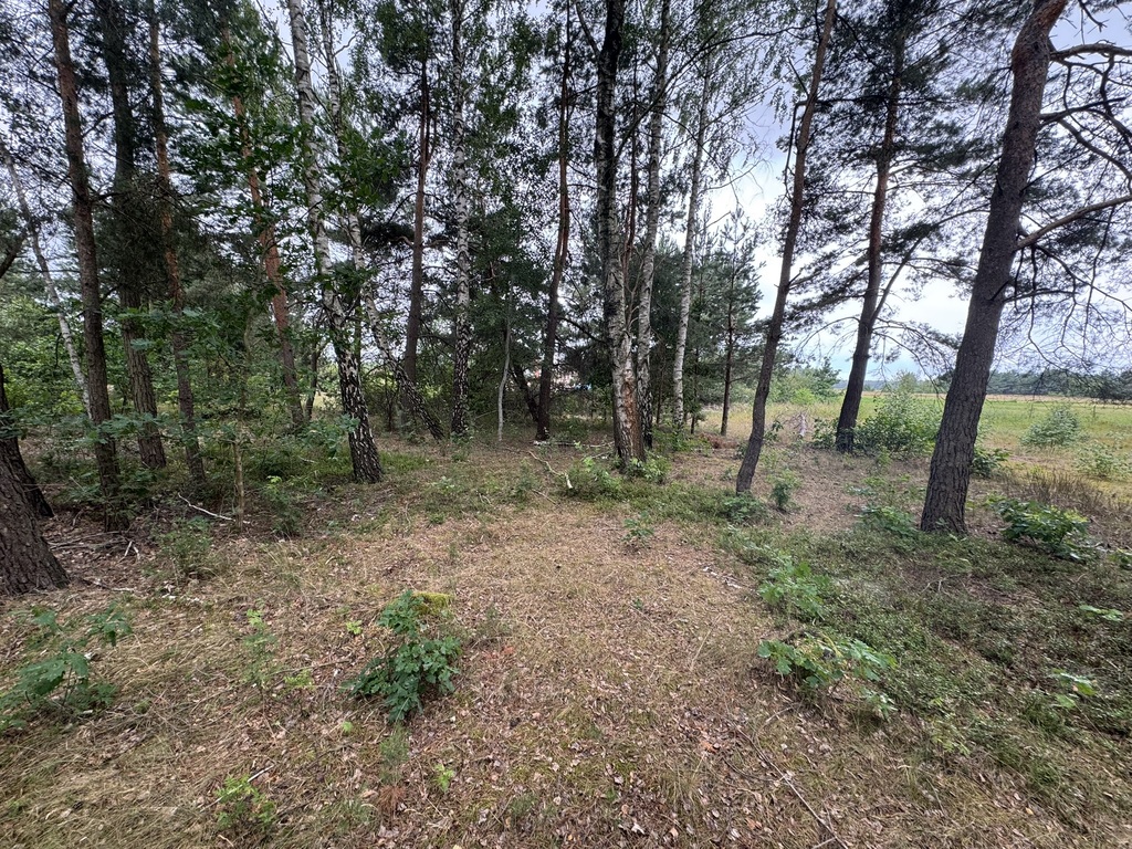 Dwie działki rekreacyjne, Podgać gmina Zabrodzie — zdjęcie 8