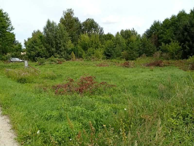 Działka 900 m2 Łowicz Jastrzębia około nr 8