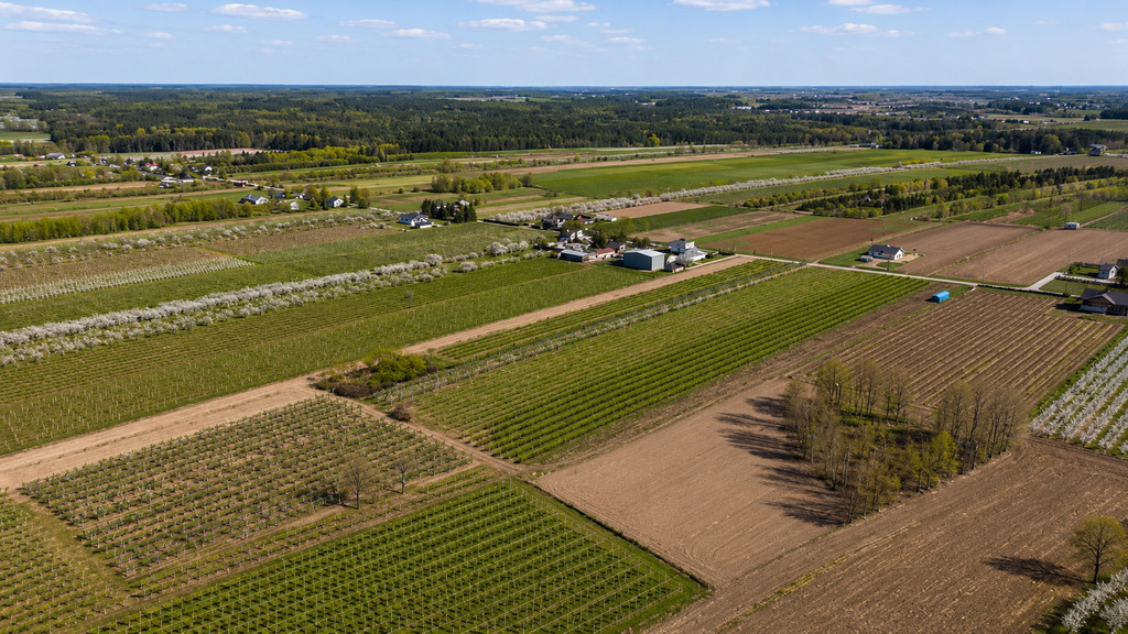 GOSPODARSTWO SADOWNICZE 6,86 HA | 5,86 HA NASADZEŃ - zdjęcie 4