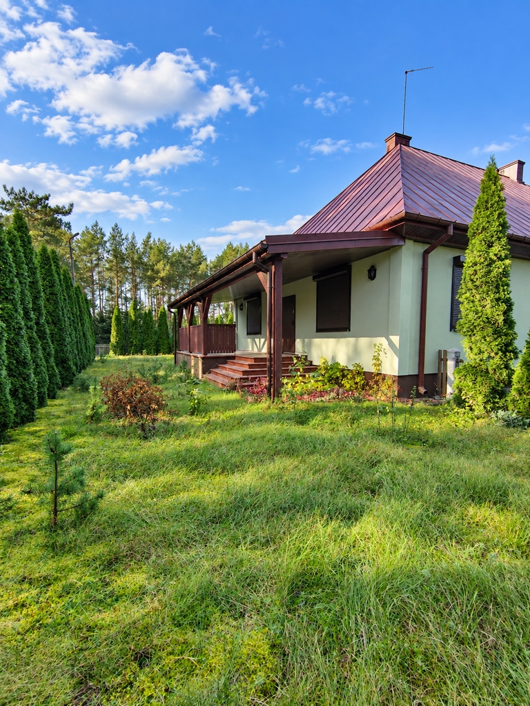 Dom w lesie – Leśniczówka bez sąsiadów - zdjęcie 3