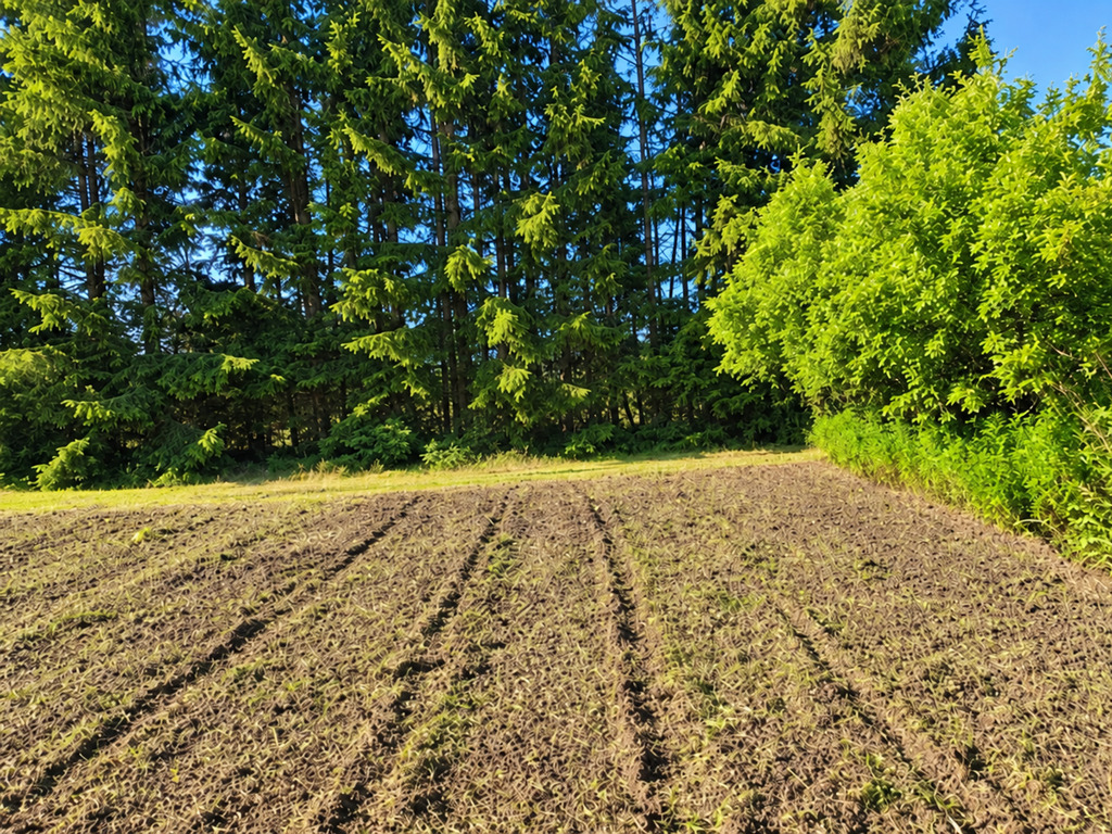 Borzęcin Duży | 3094 m² | 1MNW | działka pod dom | 1 249 000 zł - zdjęcie 4