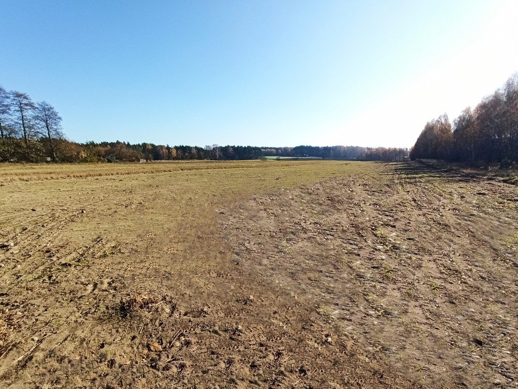 Działki świeżo po podziale geodezyjnym 10min od A2 — zdjęcie 2