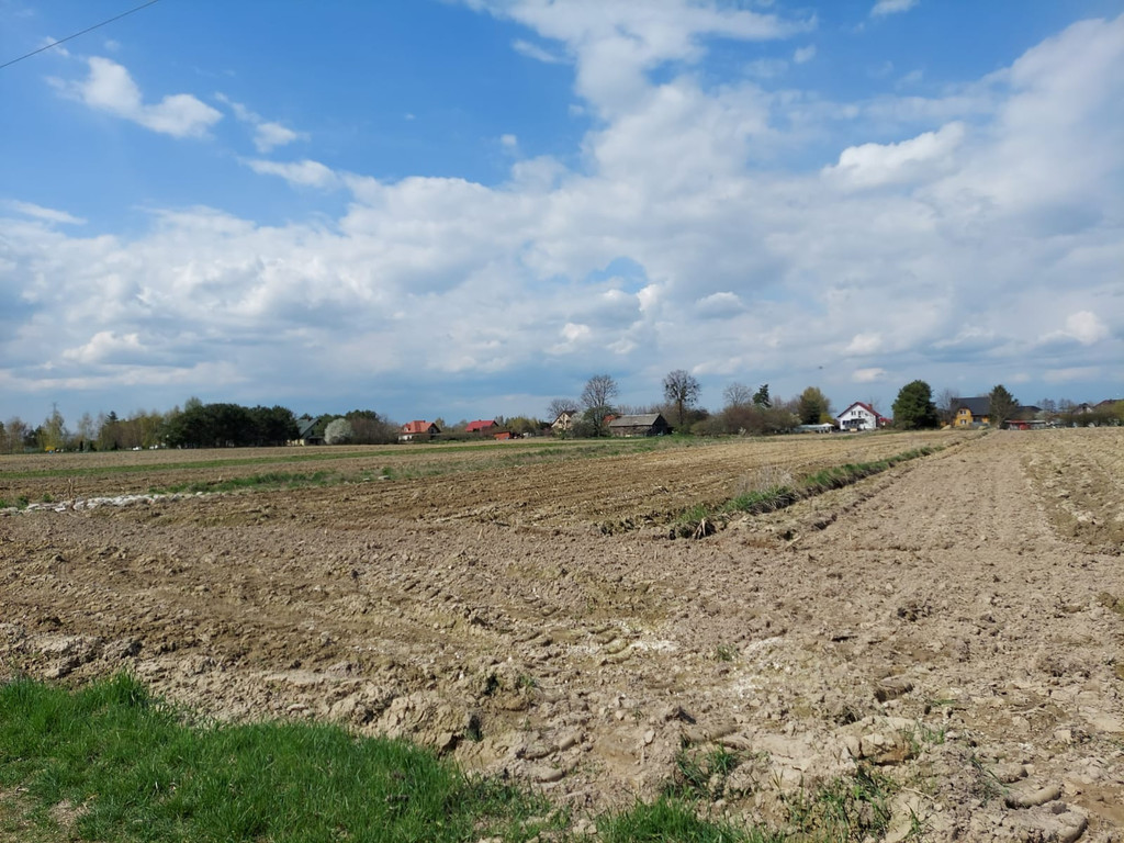 Działka w Turowoli